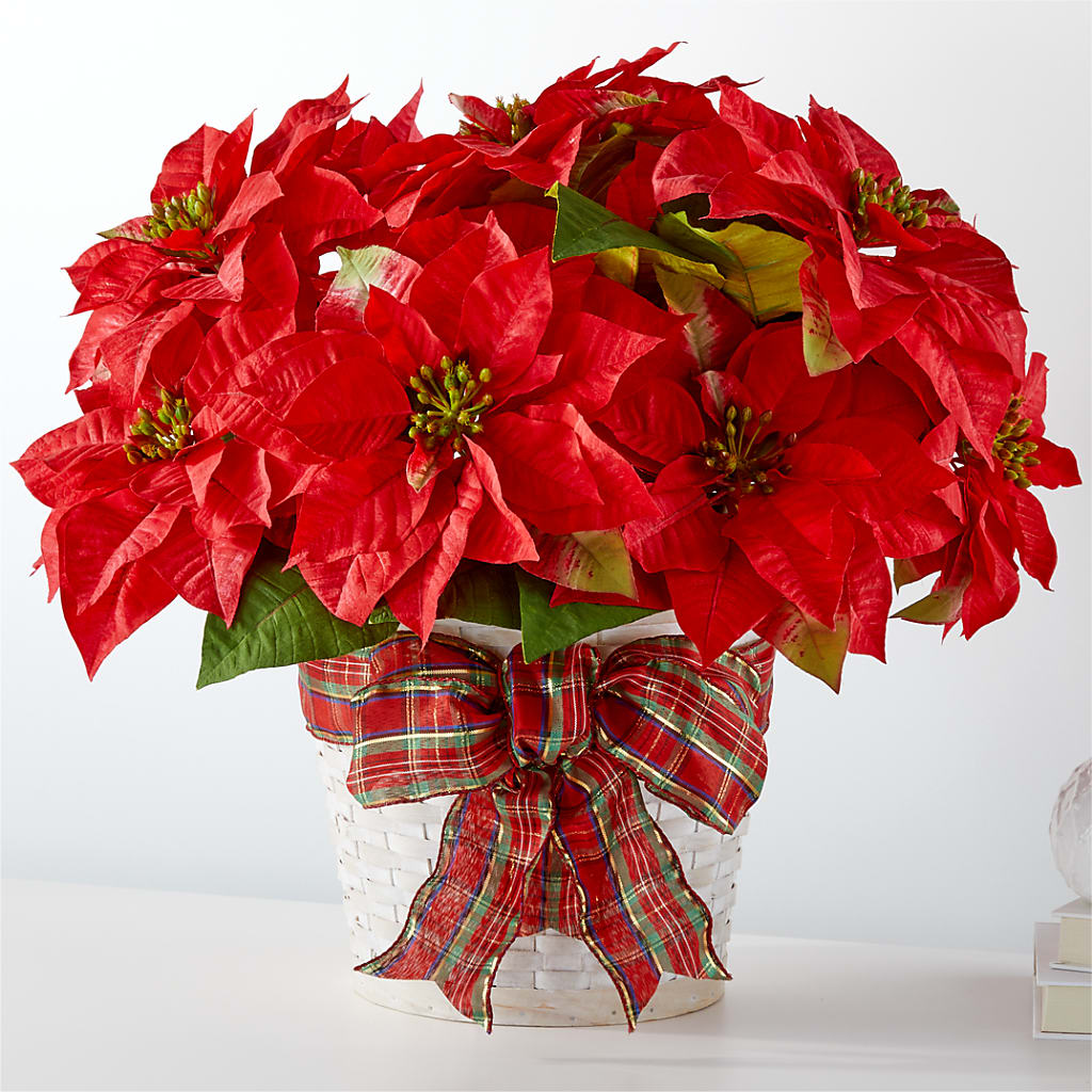 Happiest Holidays Poinsettia – Sunflowershop Llc, Orlando FL