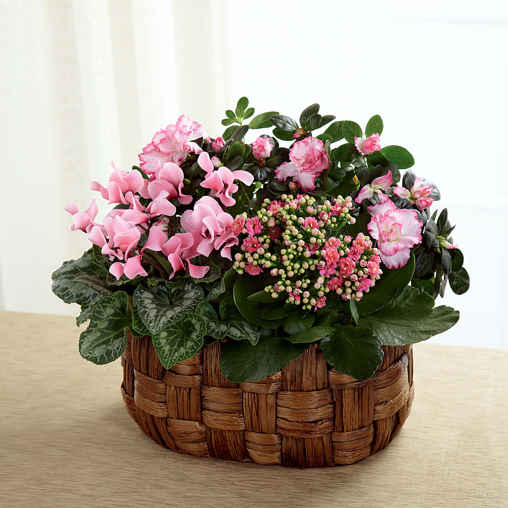 Pink Assortment – Sunflowershop Llc, Orlando FL