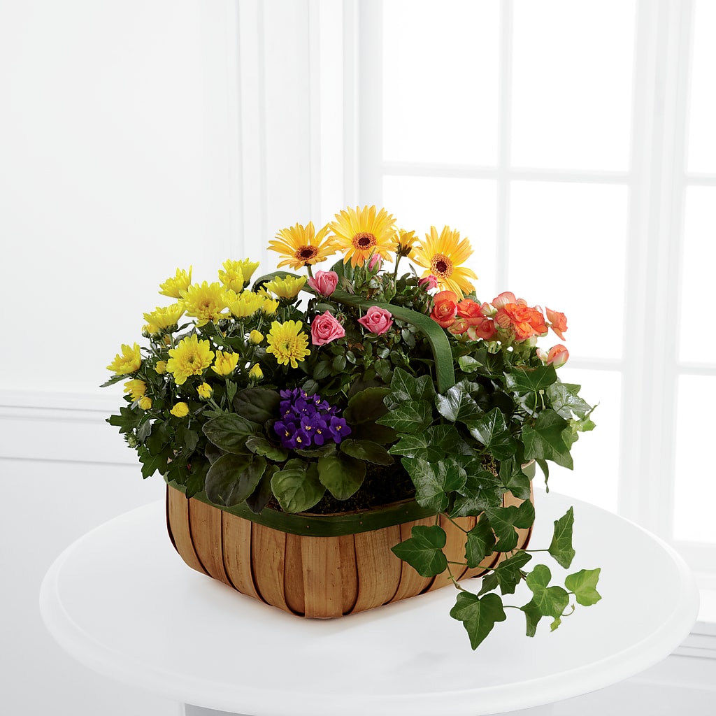 Gentle Blossoms Basket – Sunflowershop Llc, Orlando FL