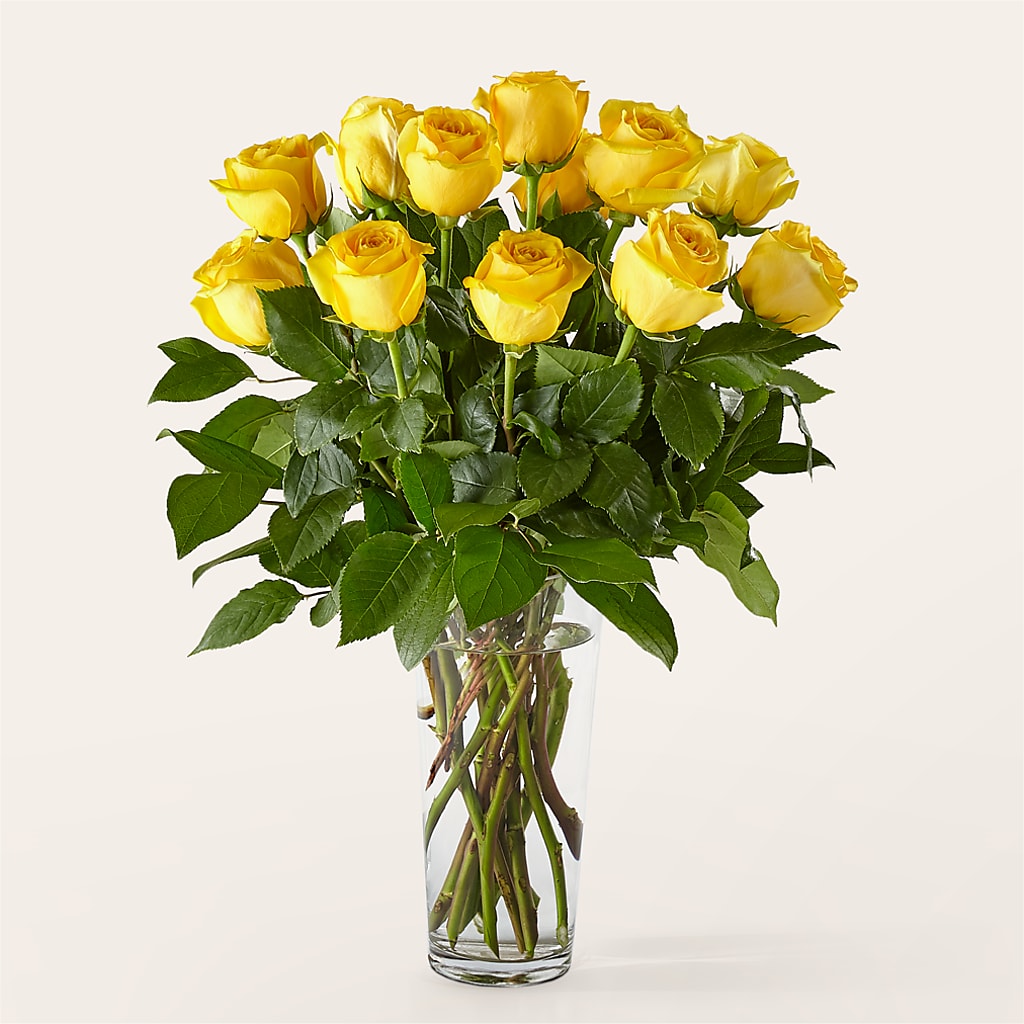 Long Stem Yellow Rose Bouquet – Sunflowershop Llc, Orlando FL