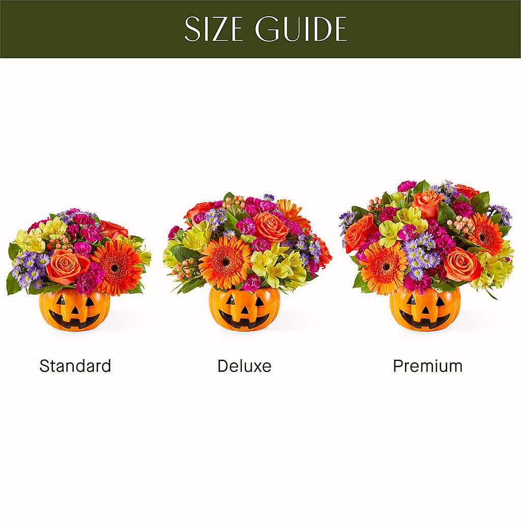 Tricks & Treats Pumpkin – Sunflowershop Llc, Orlando FL
