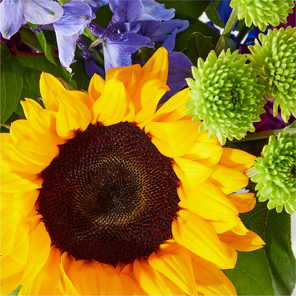 Catching Rays Bouquet – Sunflowershop Llc, Orlando FL