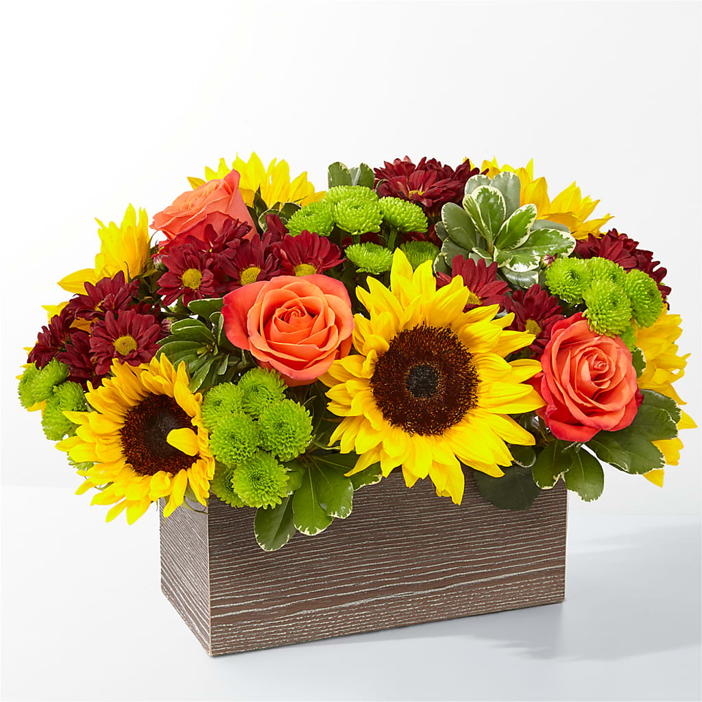Happy Harvest Garden – Sunflowershop Llc, Orlando FL