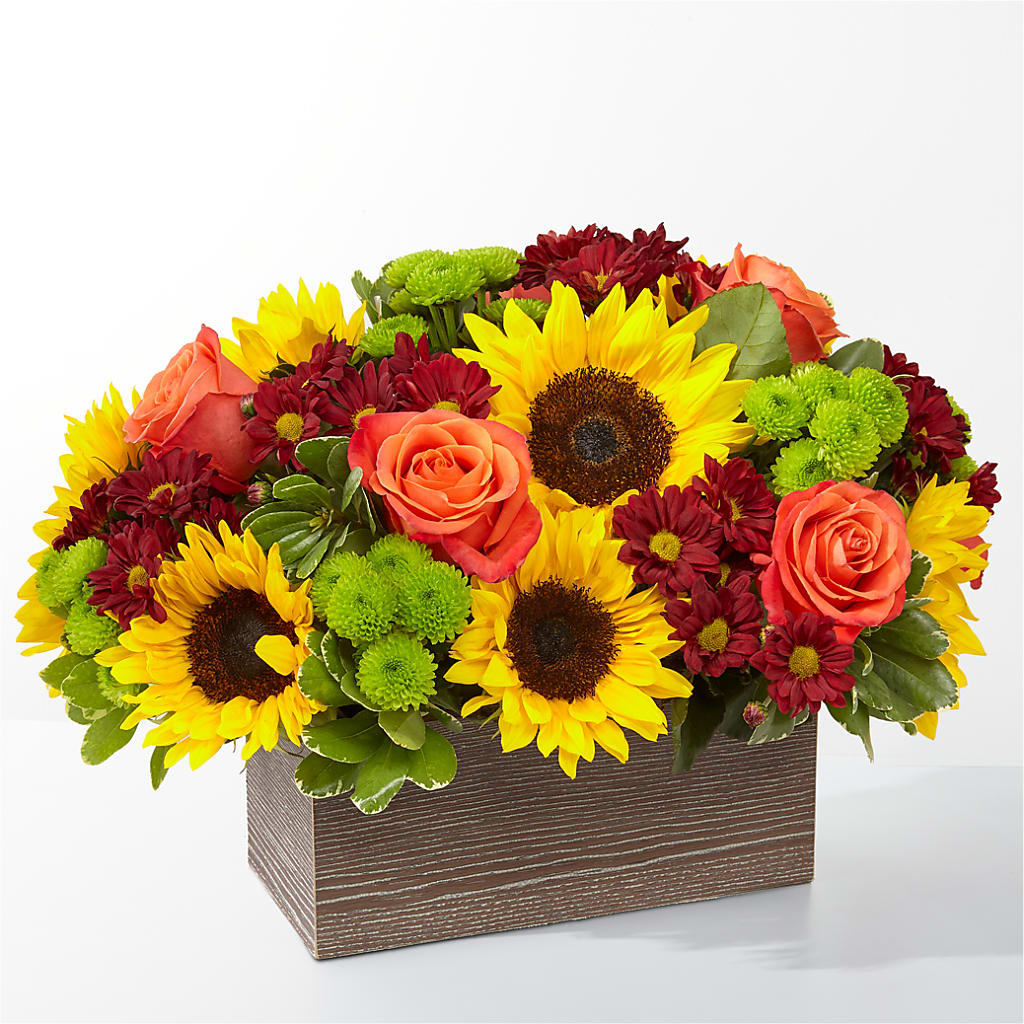 Happy Harvest Garden – Sunflowershop Llc, Orlando FL