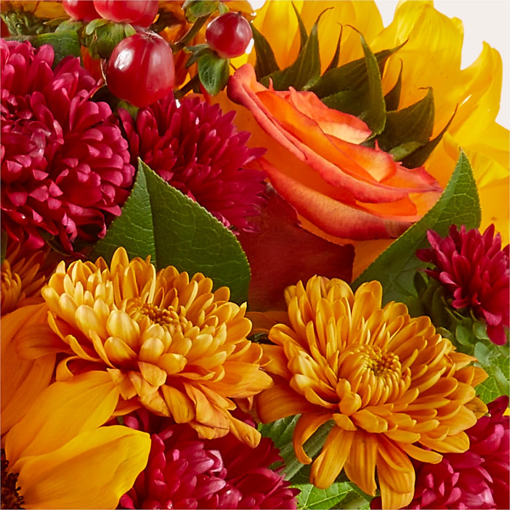 Sweater Season - A Florist Original – Sunflowershop Llc, Orlando FL