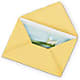 Greeting Card – Sunflowershop Llc, Orlando FL