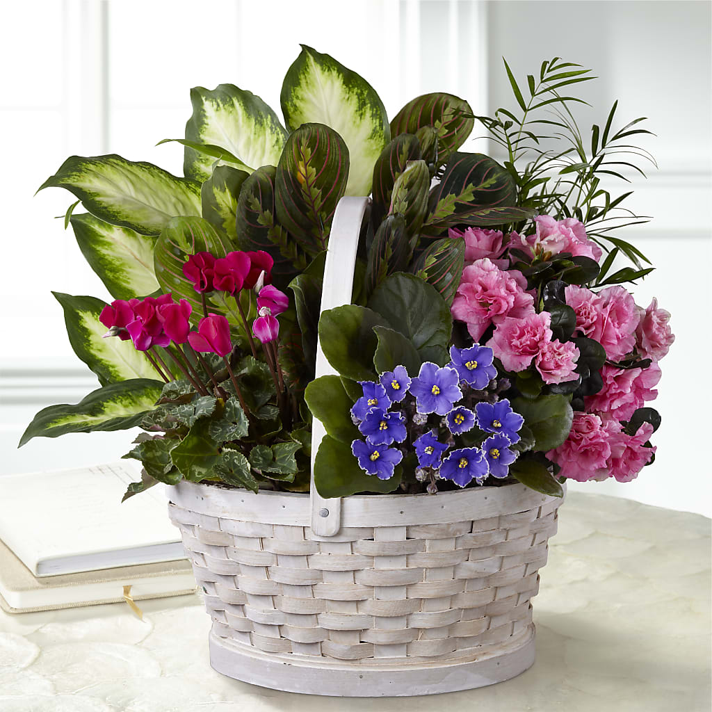 Peaceful Garden Planter – Sunflowershop Llc, Orlando FL