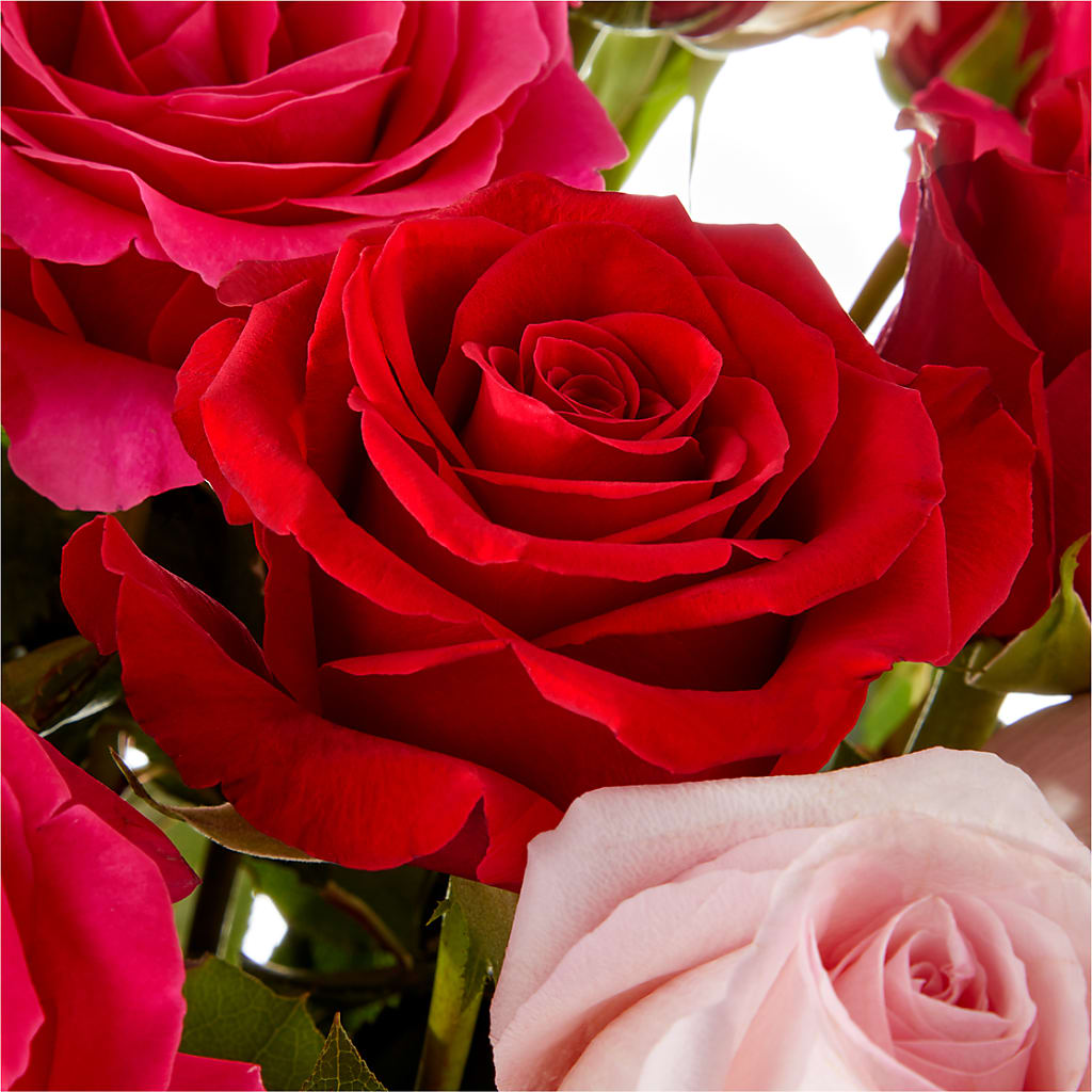 Love Notes Rose Bouquet – Sunflowershop Llc, Orlando FL