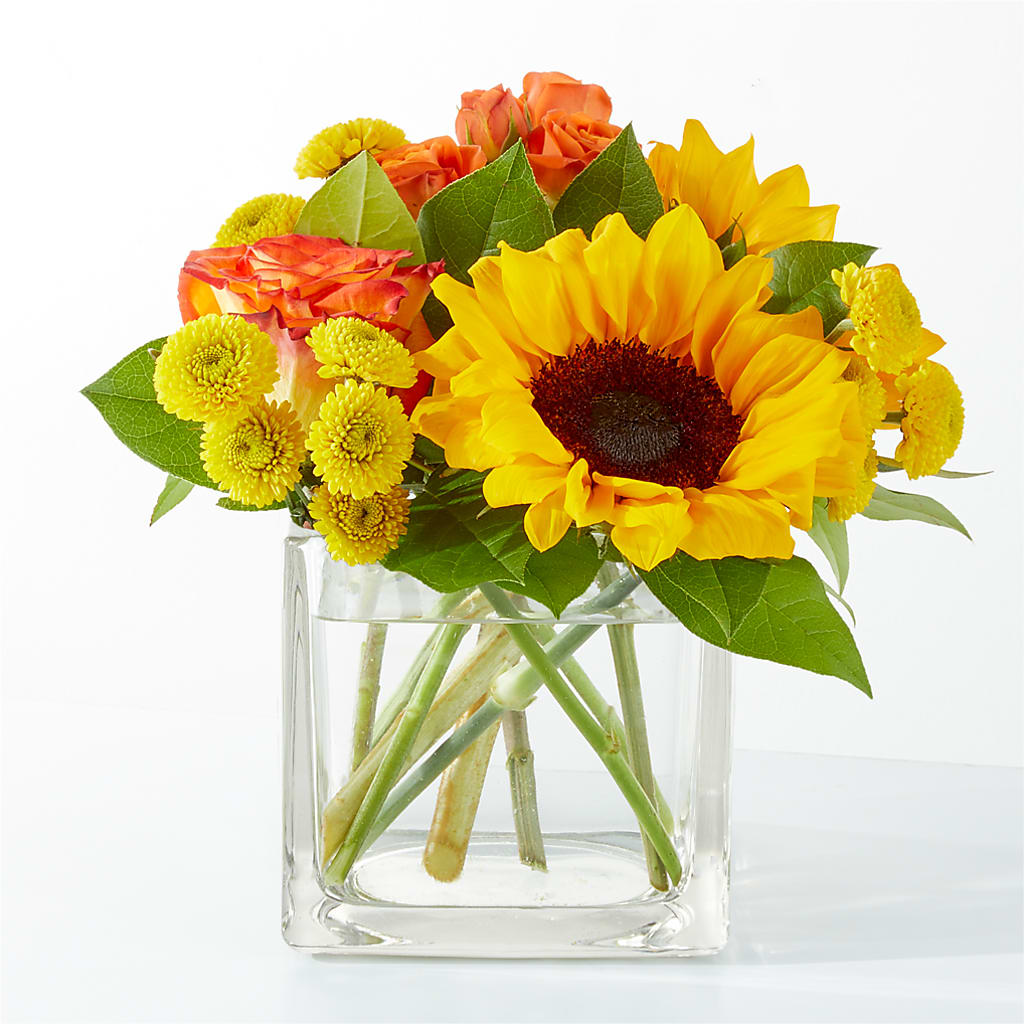 Picnic in the Park Bouquet – Sunflowershop Llc, Orlando FL