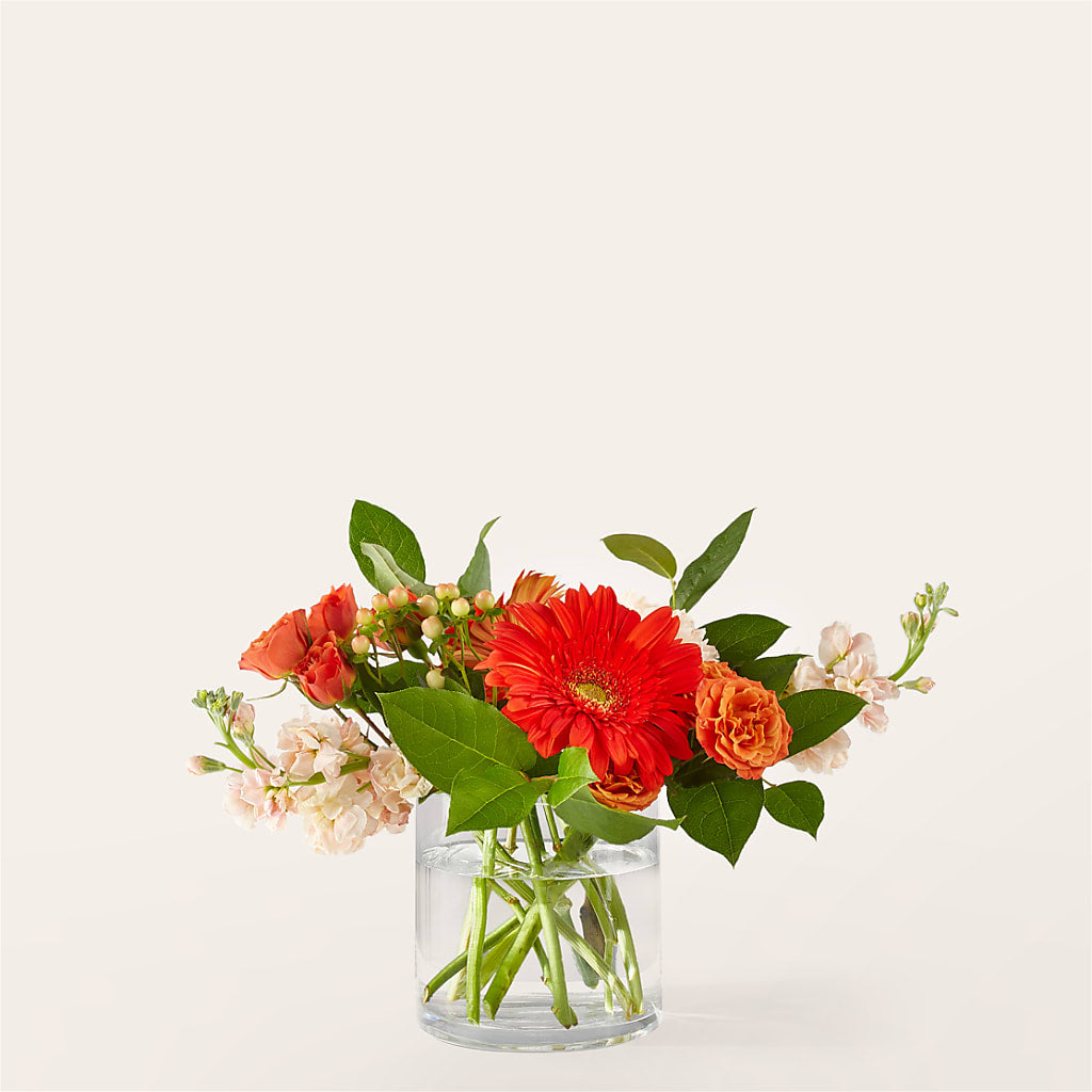 Paloma Please Bouquet – Sunflowershop Llc, Orlando FL