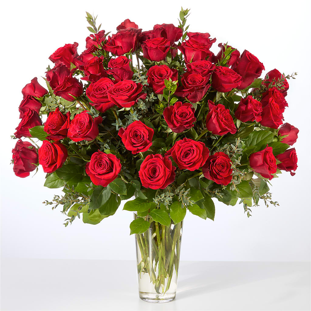 Forever Yours Fifty Stem Red Rose Bouquet – Sunflowershop Llc, Orlando FL