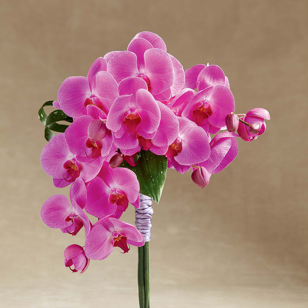 Glorious Bouquet – Sunflowershop Llc, Orlando FL