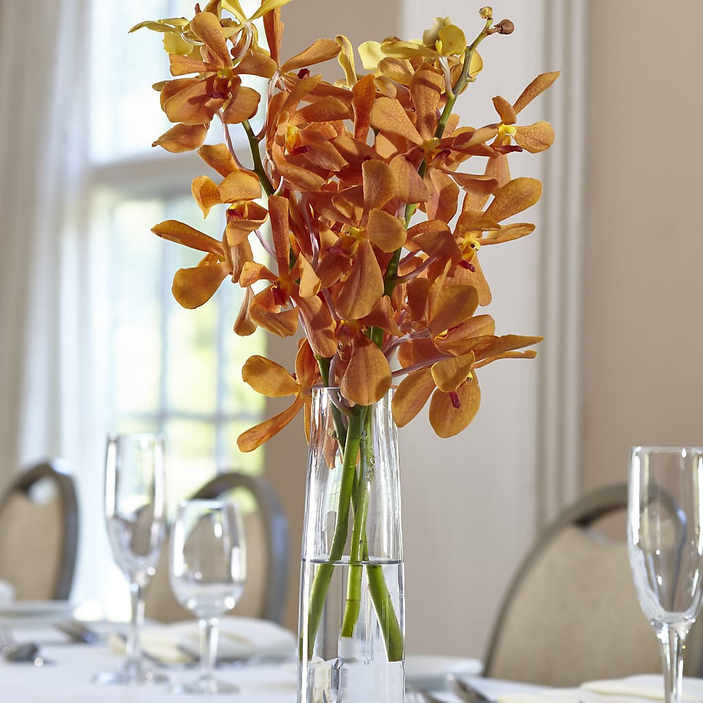 Orange Mokara Bud Vase – Sunflowershop Llc, Orlando FL