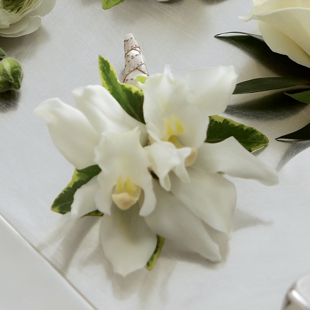 White Mini Cymbidium Boutonniere – Sunflowershop Llc, Orlando FL