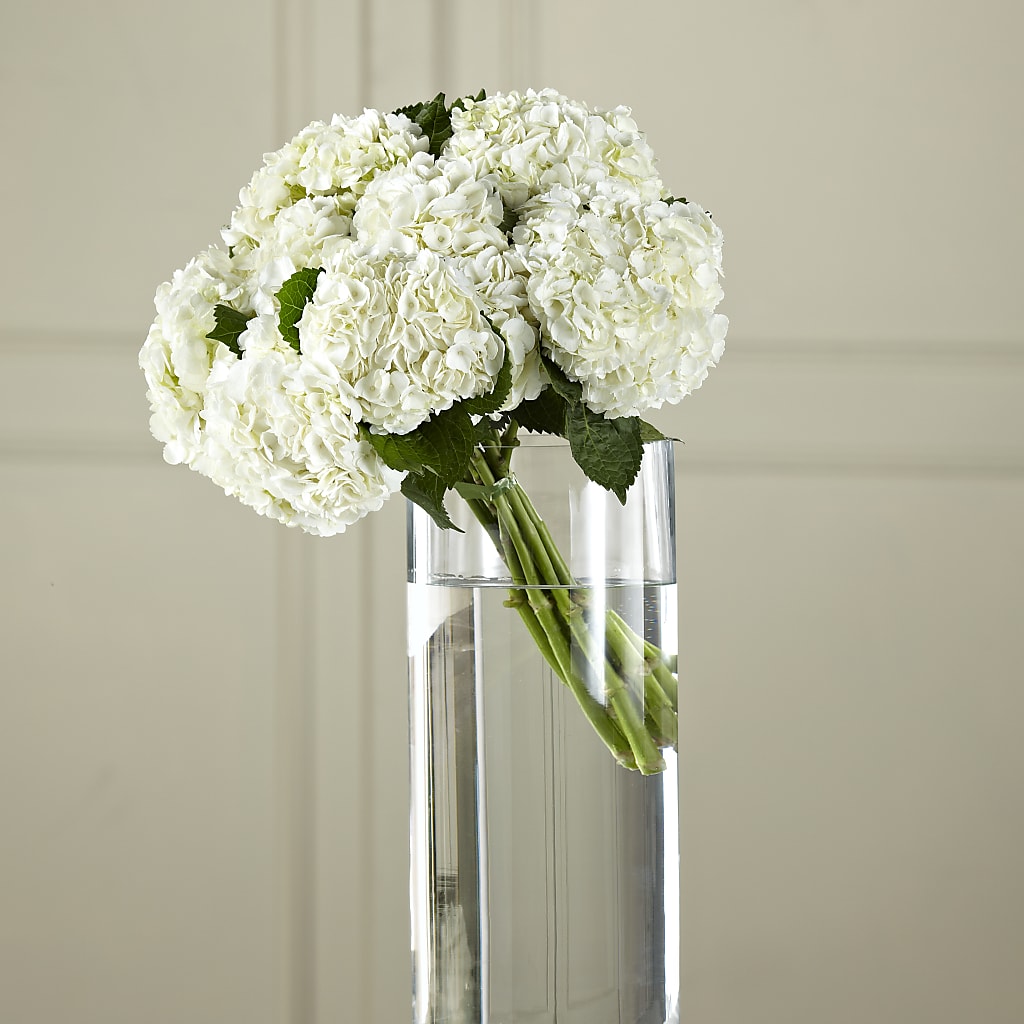 White Hydrangea Hand-Tied Bouquet – Sunflowershop Llc, Orlando FL