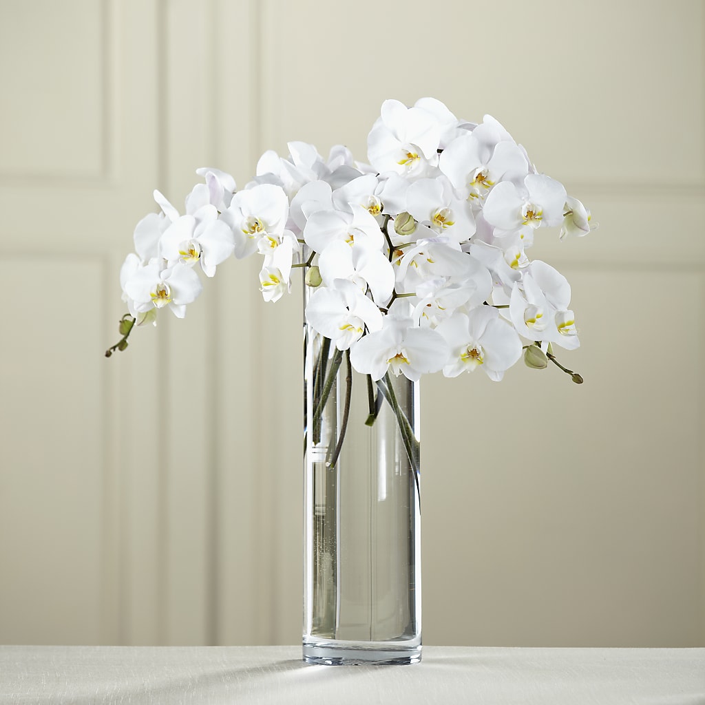 White Phalaenopsis Bouquet – Sunflowershop Llc, Orlando FL
