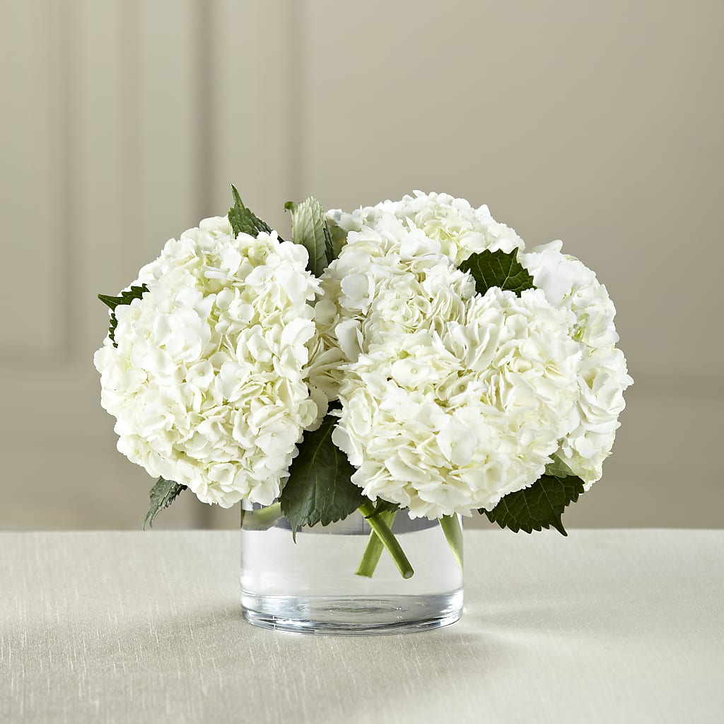 White Hydrangea Bouquet – Sunflowershop Llc, Orlando FL