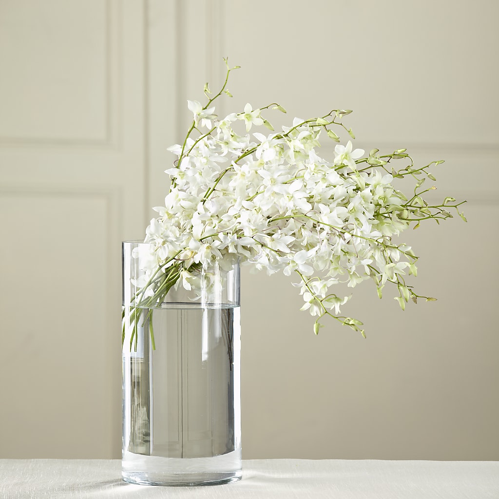 White Dendrobium Bouquet – Sunflowershop Llc, Orlando FL