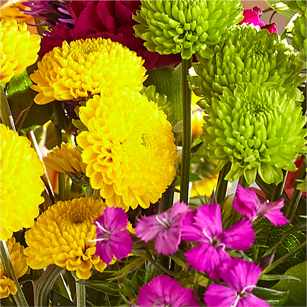 Bold & Bright – A Florist Original –  Sunflowershop Llc, Orlando FL
