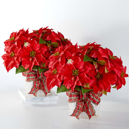 Happiest Holidays Poinsettia Bundle –  Sunflowershop Llc, Orlando FL
