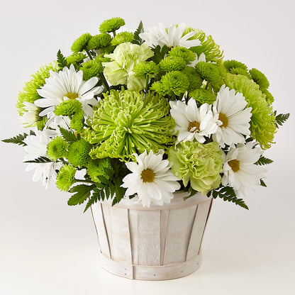Lucky Charm Basket (Standard) –  Sunflowershop Llc, Orlando FL