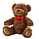 Adorable Plush Bear –  Sunflowershop Llc, Orlando FL