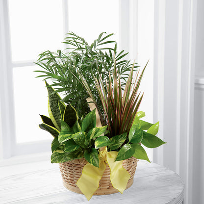 French Garden –  Sunflowershop Llc, Orlando FL