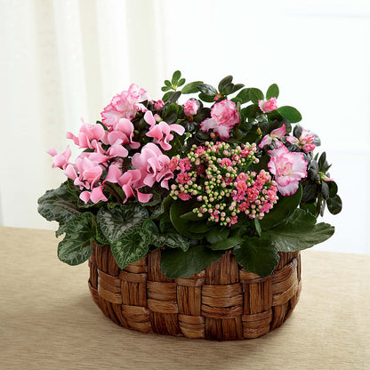 Pink Assortment –  Sunflowershop Llc, Orlando FL
