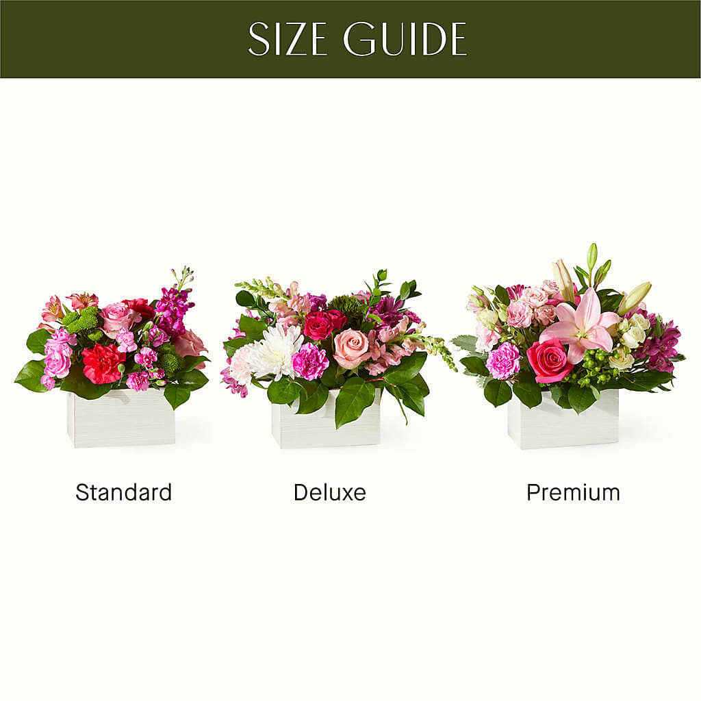 Sweetberry Box – A Florist Original –  Sunflowershop Llc, Orlando FL