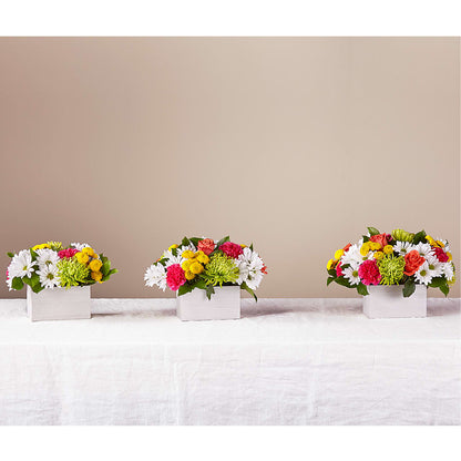 Sorbet Bouquet –  Sunflowershop Llc, Orlando FL