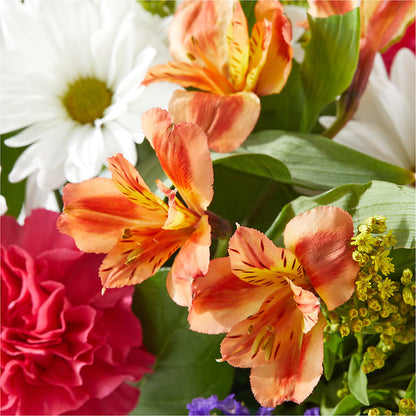 Oopsie Daisy Box Bouquet –  Sunflowershop Llc, Orlando FL