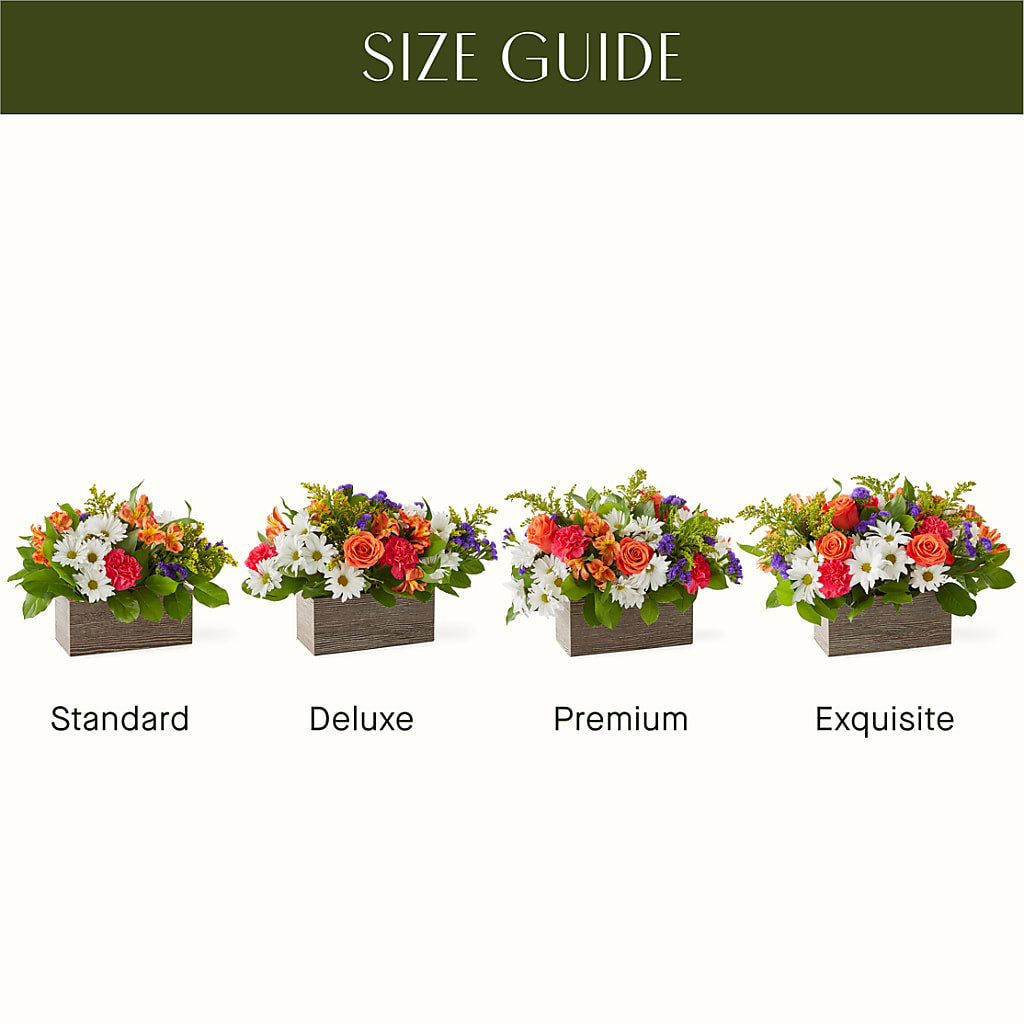 Oopsie Daisy Box Bouquet –  Sunflowershop Llc, Orlando FL