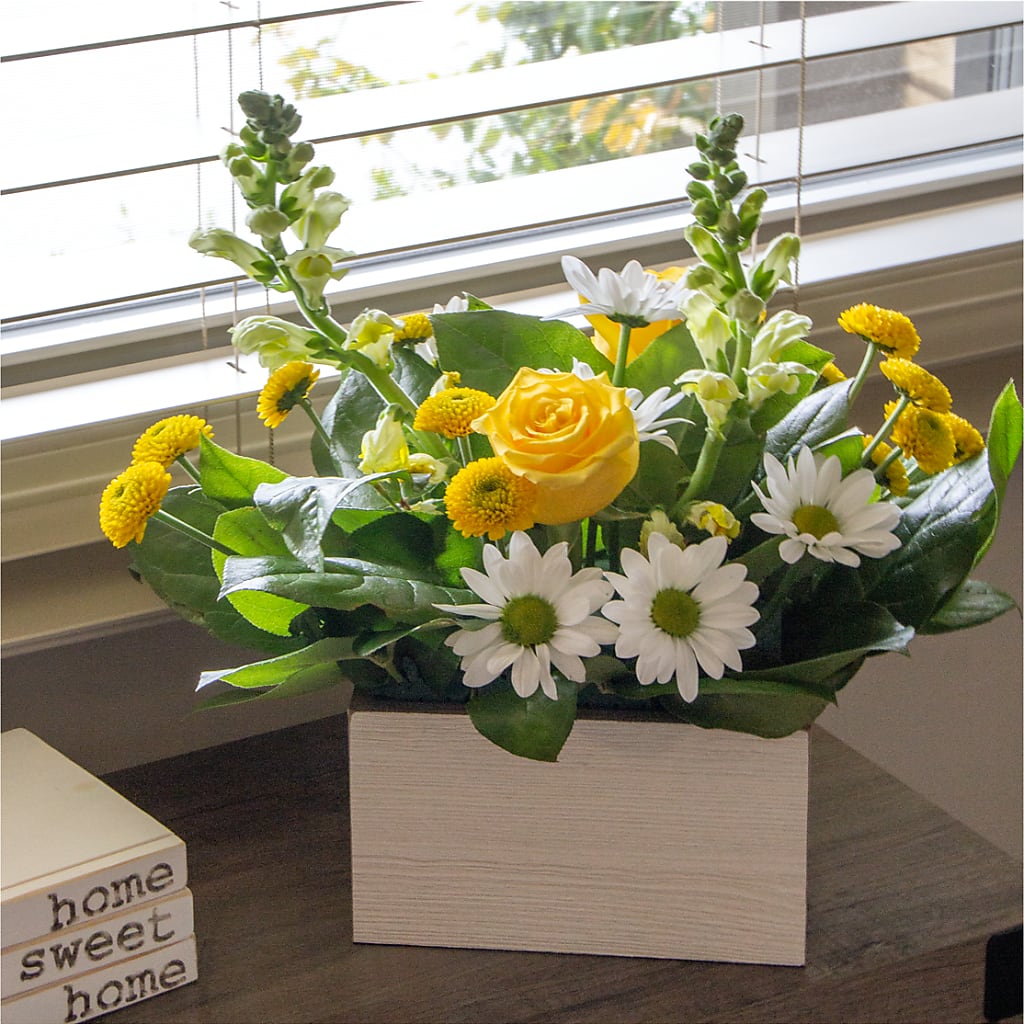 Sun Salutation Box Bouquet –  Sunflowershop Llc, Orlando FL
