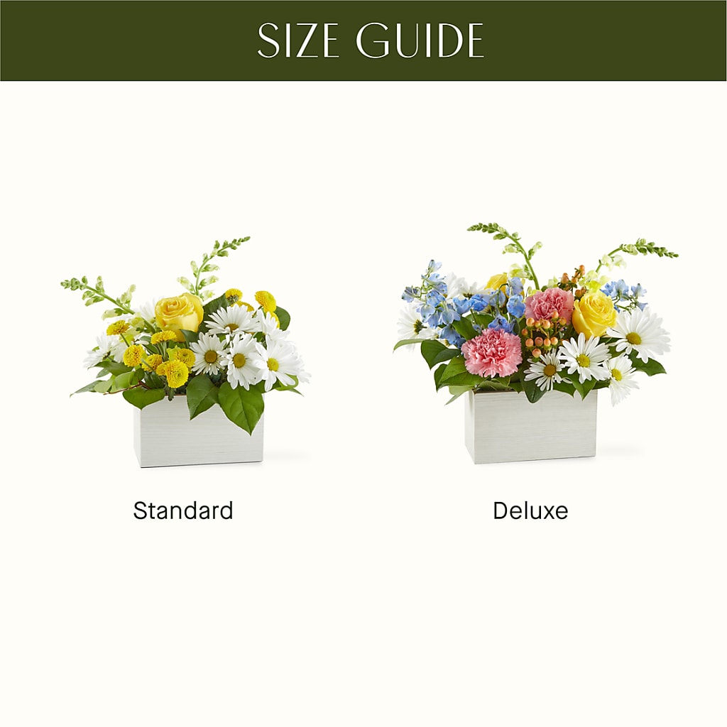Sun Salutation Box Bouquet –  Sunflowershop Llc, Orlando FL