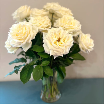 Long Stem Yellow Rose Bouquet –  Sunflowershop Llc, Orlando FL
