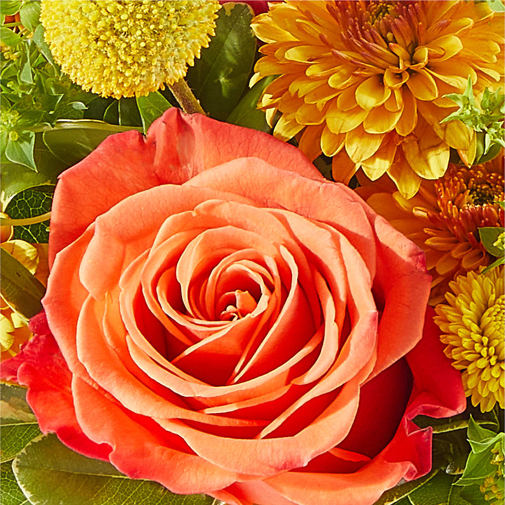 Gourdgeous Pumpkin –  Sunflowershop Llc, Orlando FL