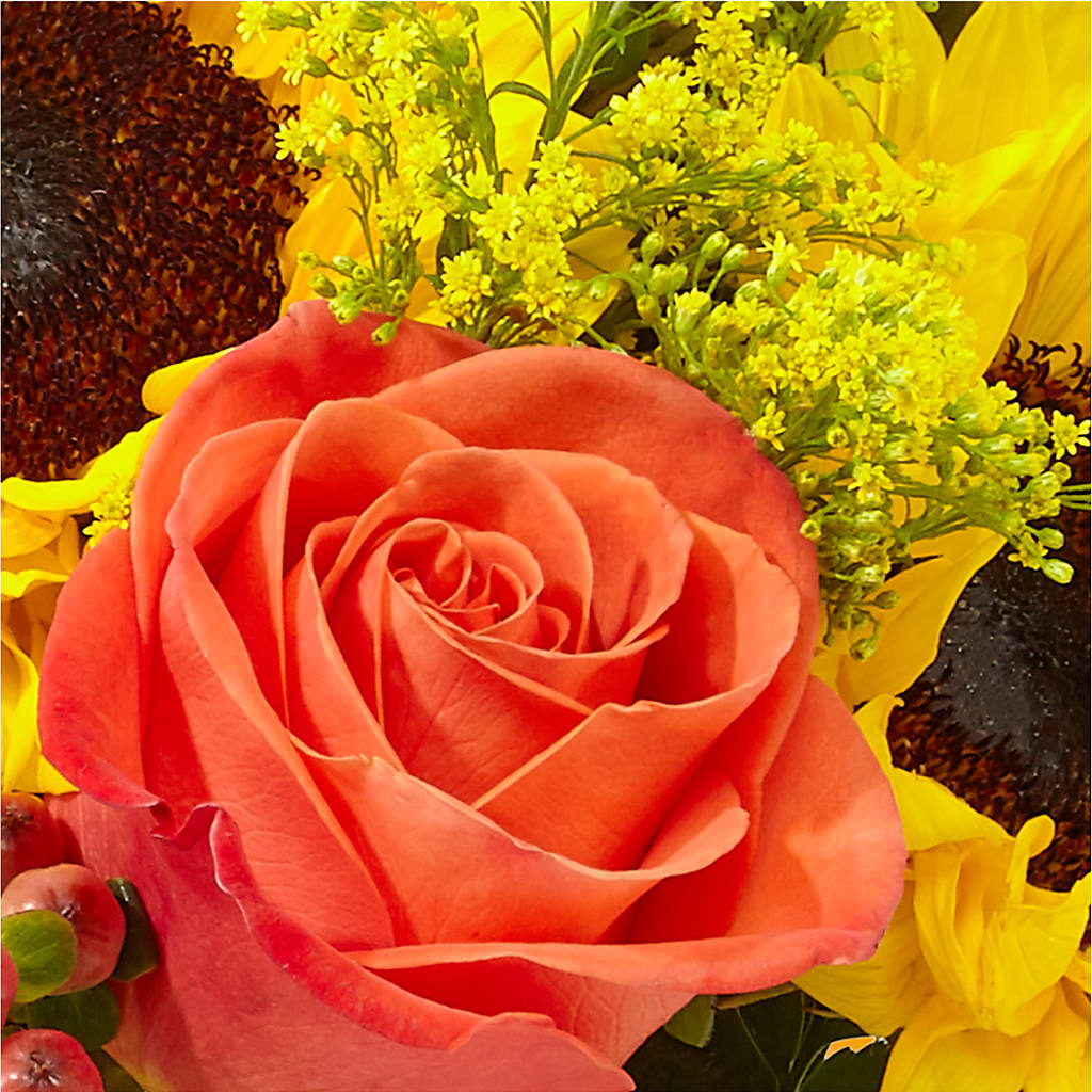 Pick of the Patch Pumpkin Bouquet –  Sunflowershop Llc, Orlando FL