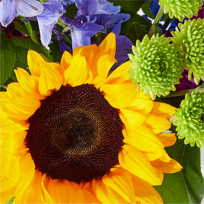 Catching Rays Bouquet –  Sunflowershop Llc, Orlando FL