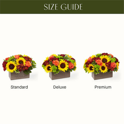Happy Harvest Garden –  Sunflowershop Llc, Orlando FL