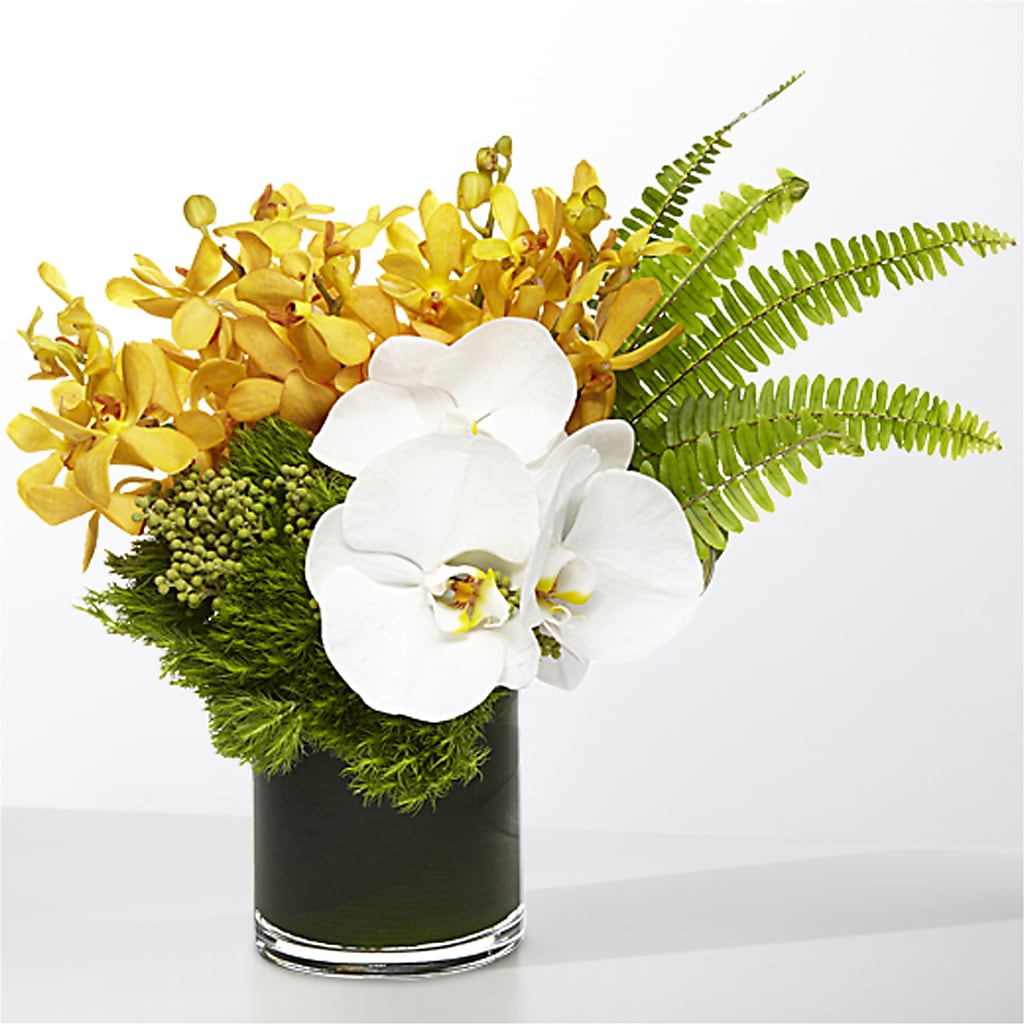 The Tropics –  Sunflowershop Llc, Orlando FL