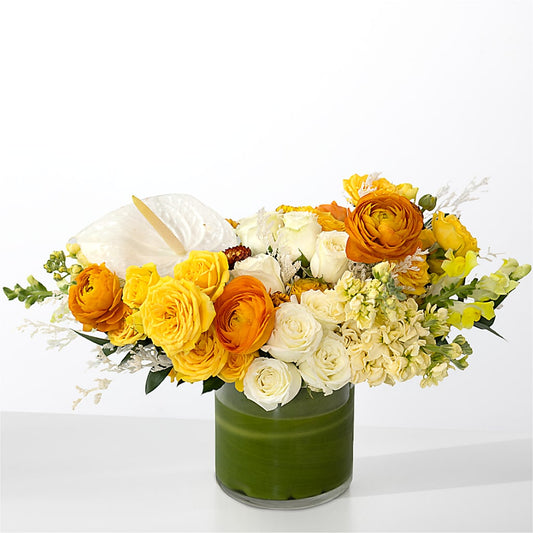 The Optimist –  Sunflowershop Llc, Orlando FL