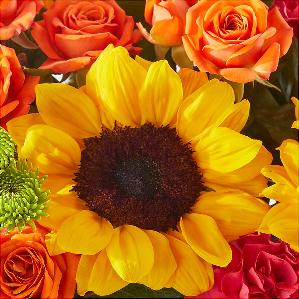 Sun-drenched Blooms Box Bouquet –  Sunflowershop Llc, Orlando FL