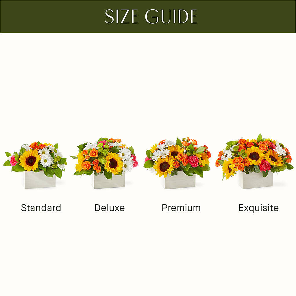 Sun-drenched Blooms Box Bouquet –  Sunflowershop Llc, Orlando FL