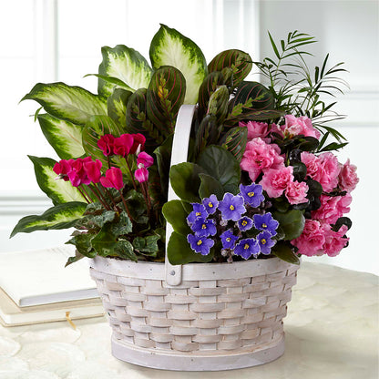 Peaceful Garden Planter –  Sunflowershop Llc, Orlando FL