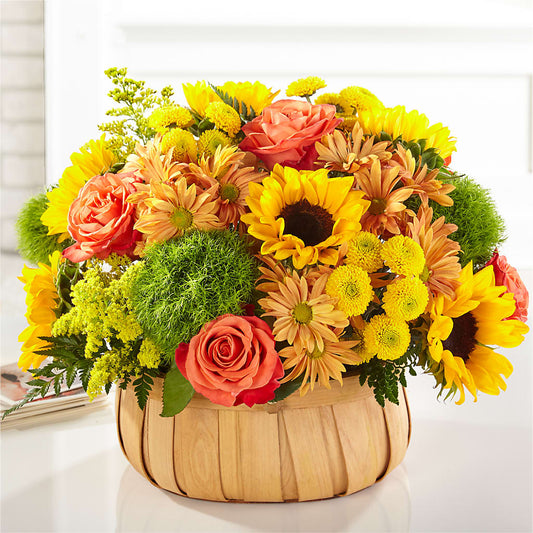 Harvest Sunflower Basket –  Sunflowershop Llc, Orlando FL