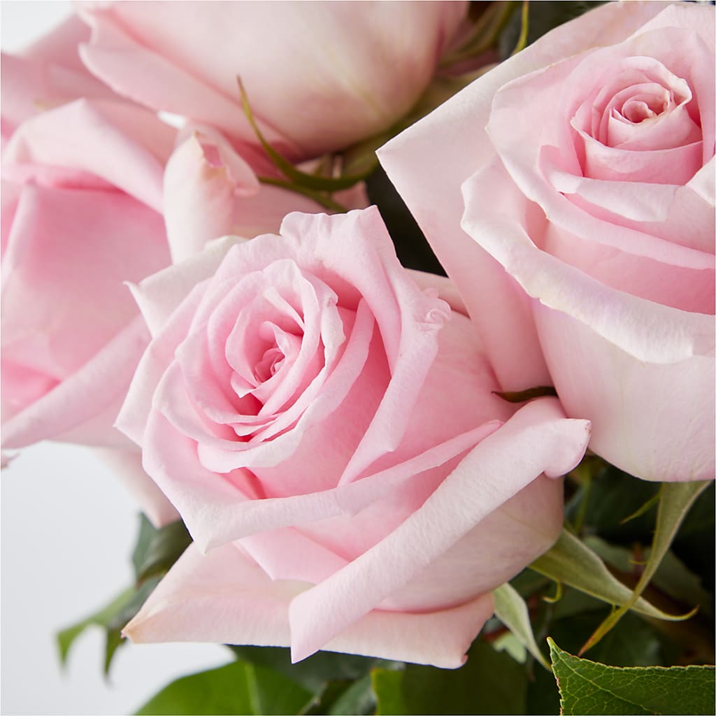 Picture Perfect Pink Rose Bouquet –  Sunflowershop Llc, Orlando FL