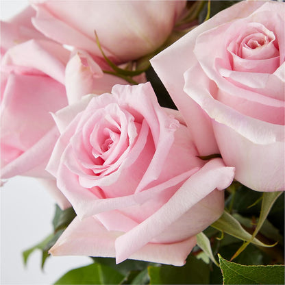 Picture Perfect Pink Rose Bouquet –  Sunflowershop Llc, Orlando FL
