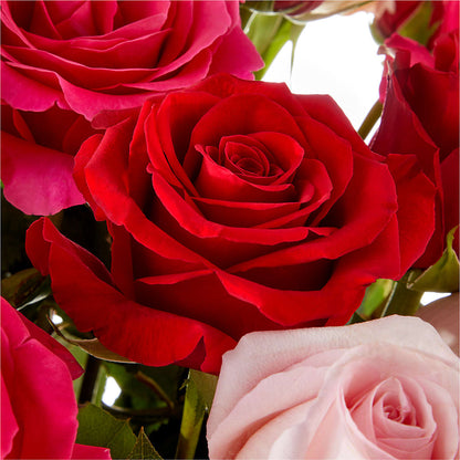 Love Notes Rose Bouquet –  Sunflowershop Llc, Orlando FL
