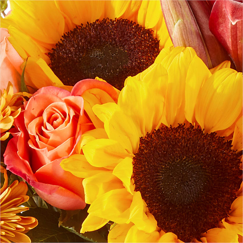 Acorn Lane Bouquet –  Sunflowershop Llc, Orlando FL