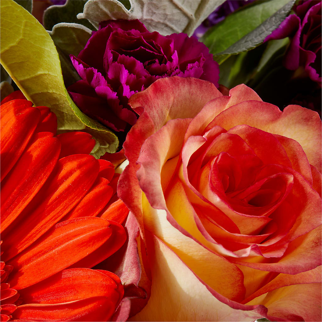 Sangria Bouquet –  Sunflowershop Llc, Orlando FL
